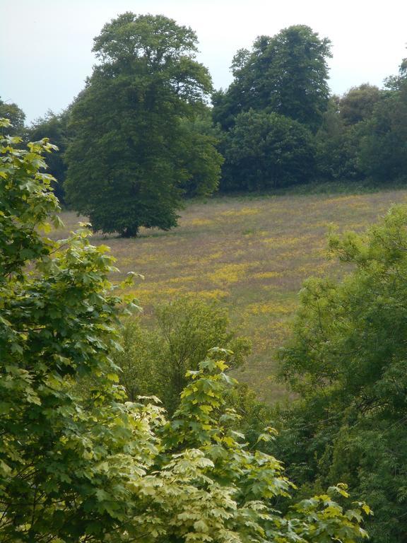 Diamond Hill Country House Waterford Dış mekan fotoğraf
