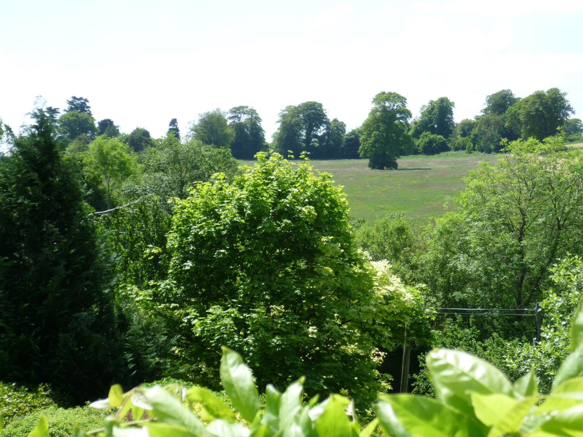 Diamond Hill Country House Waterford Dış mekan fotoğraf