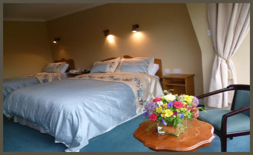 Diamond Hill Country House Waterford Dış mekan fotoğraf